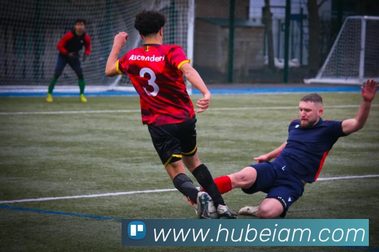 九游入口官网登录平台生态图