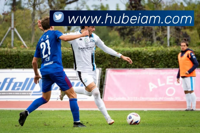 九游入口官网登录APP 封面图